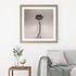 Gerbera No.1 - Signed Edition Art Print